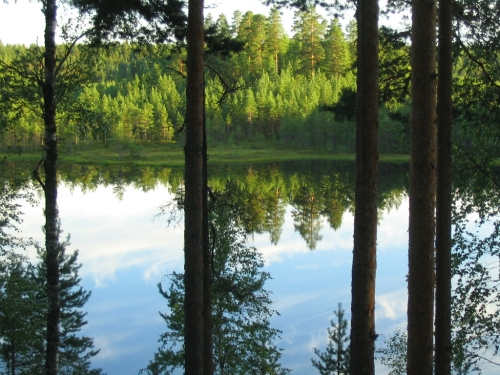 Harjulta on mukava katsella