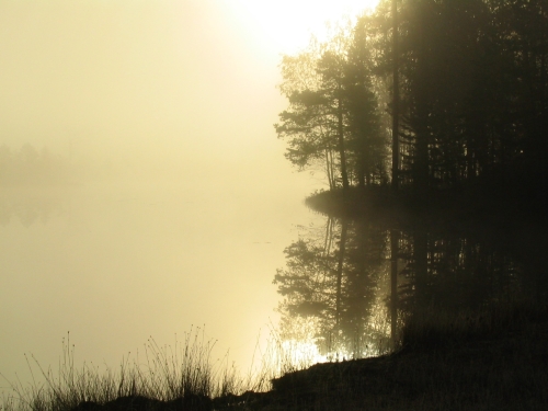 Aamu-usvaa Harjuj&auml;rvell&auml;