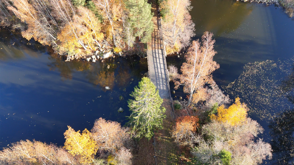 Vietätkö syyslomaa Joutsassa? Tervetuloa virkistymään ja rauhoittumaan keskelle kauneinta Järvi-Suomea! Täällä puut hehkuvat keltaisin, oranssein ja punaisin sävyin, ilma on raikas ja mieli levollinen. Syksyllä Joutsa tarjoaa tekemistä etenkin liikuntalomaa, luontolomaa tai lepolomaa kaipaaville. Alta löydät vinkkejä joutsaisaan syyslomaa.